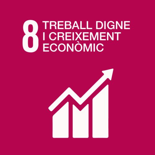 ODS Treball digne