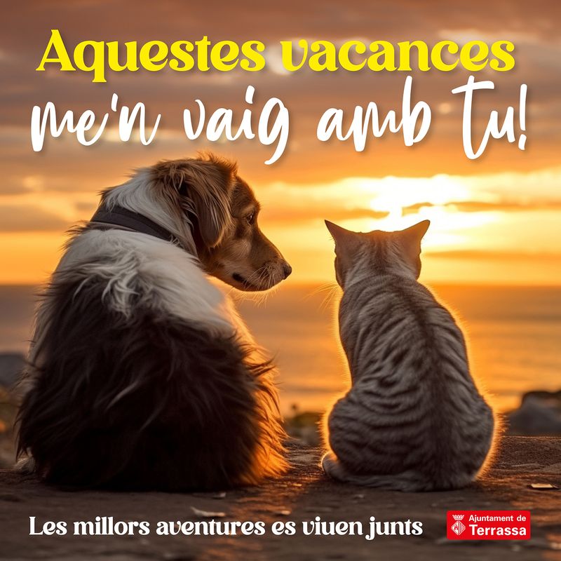 Amb tu fins a la fi del món! (gossos, gats, maletes)
