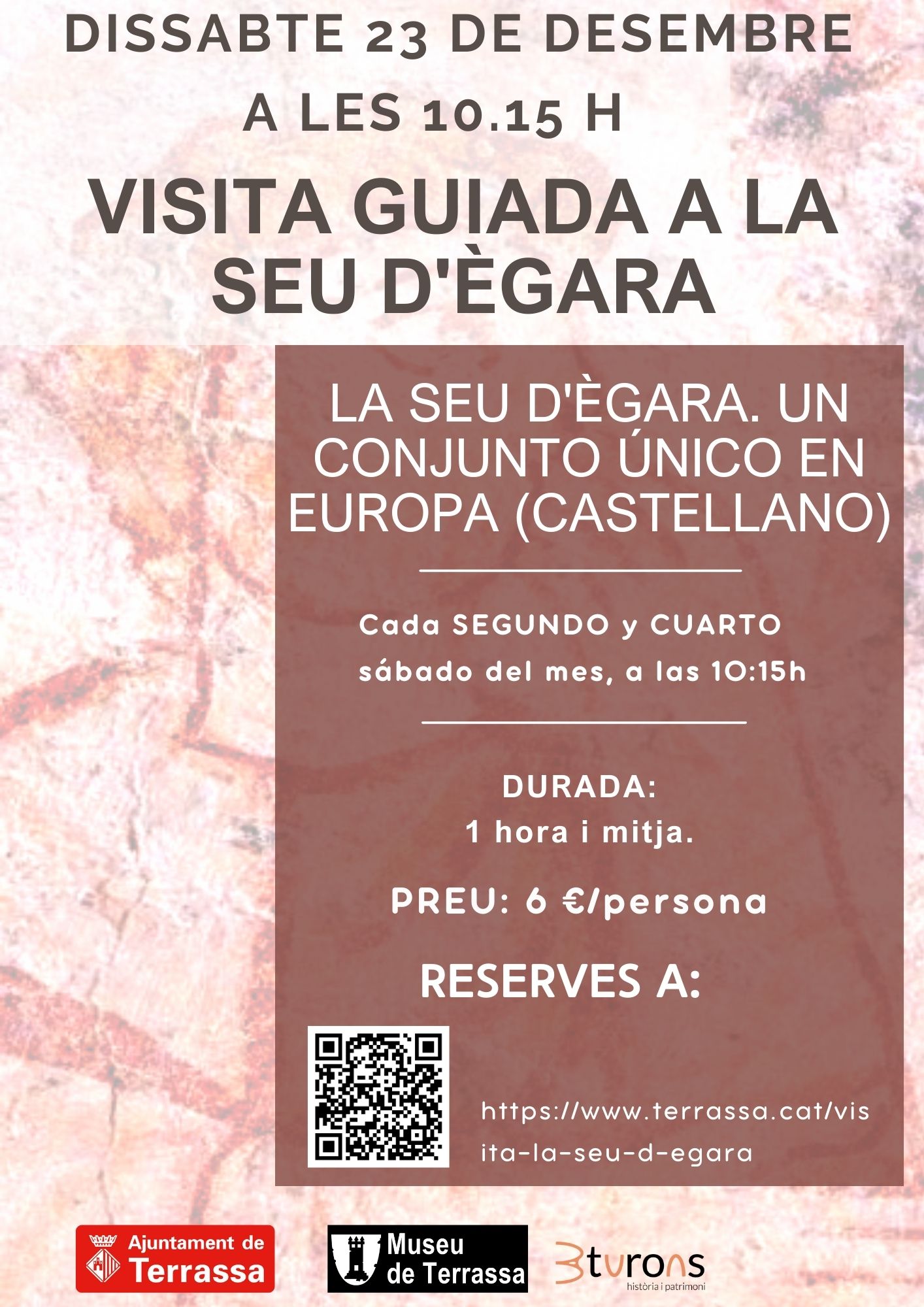 cartel de la actividad cartel de la actividad