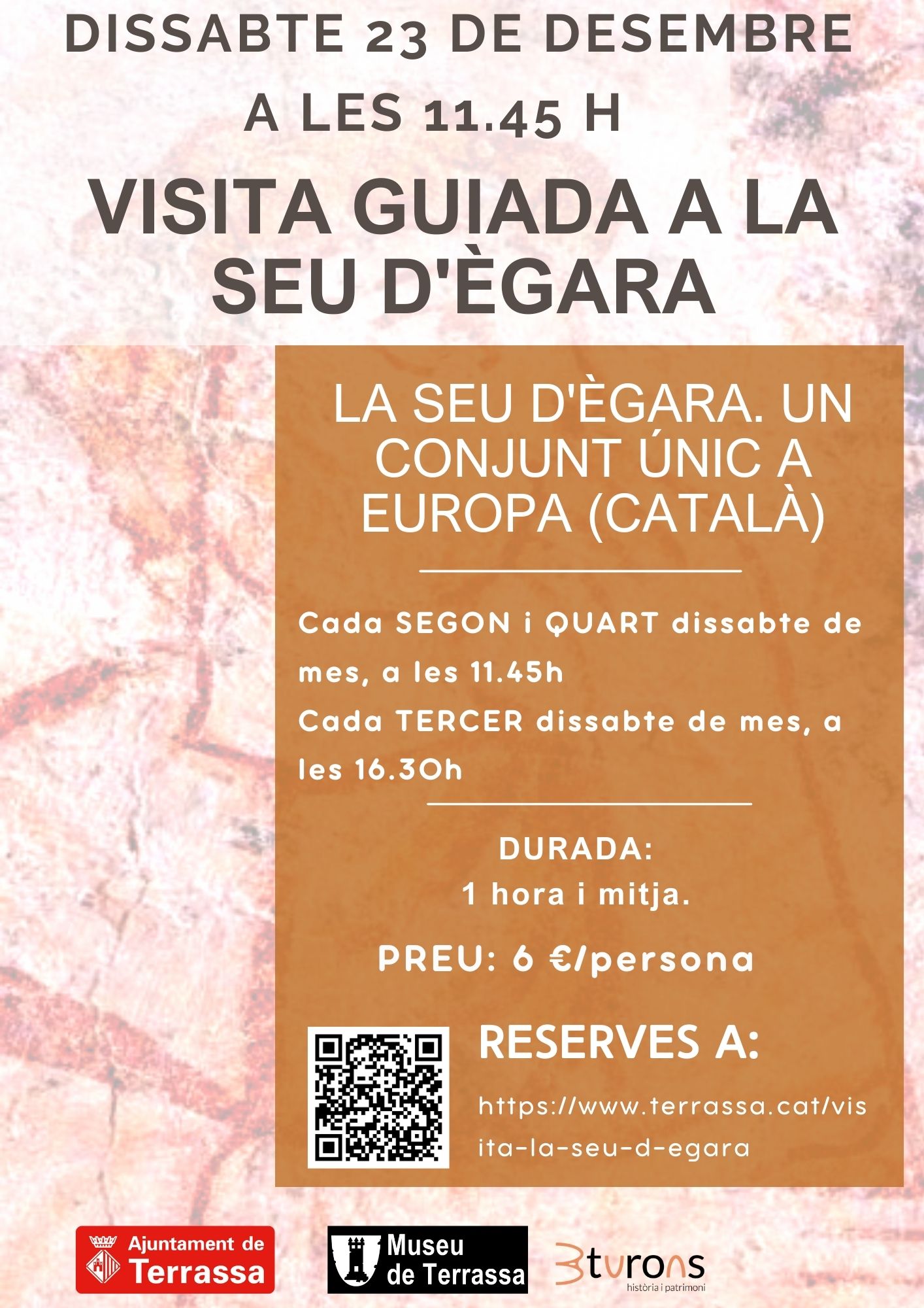 cartel de la actividad cartel de la actividad