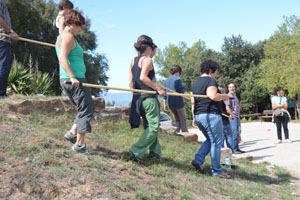 barras direccionales