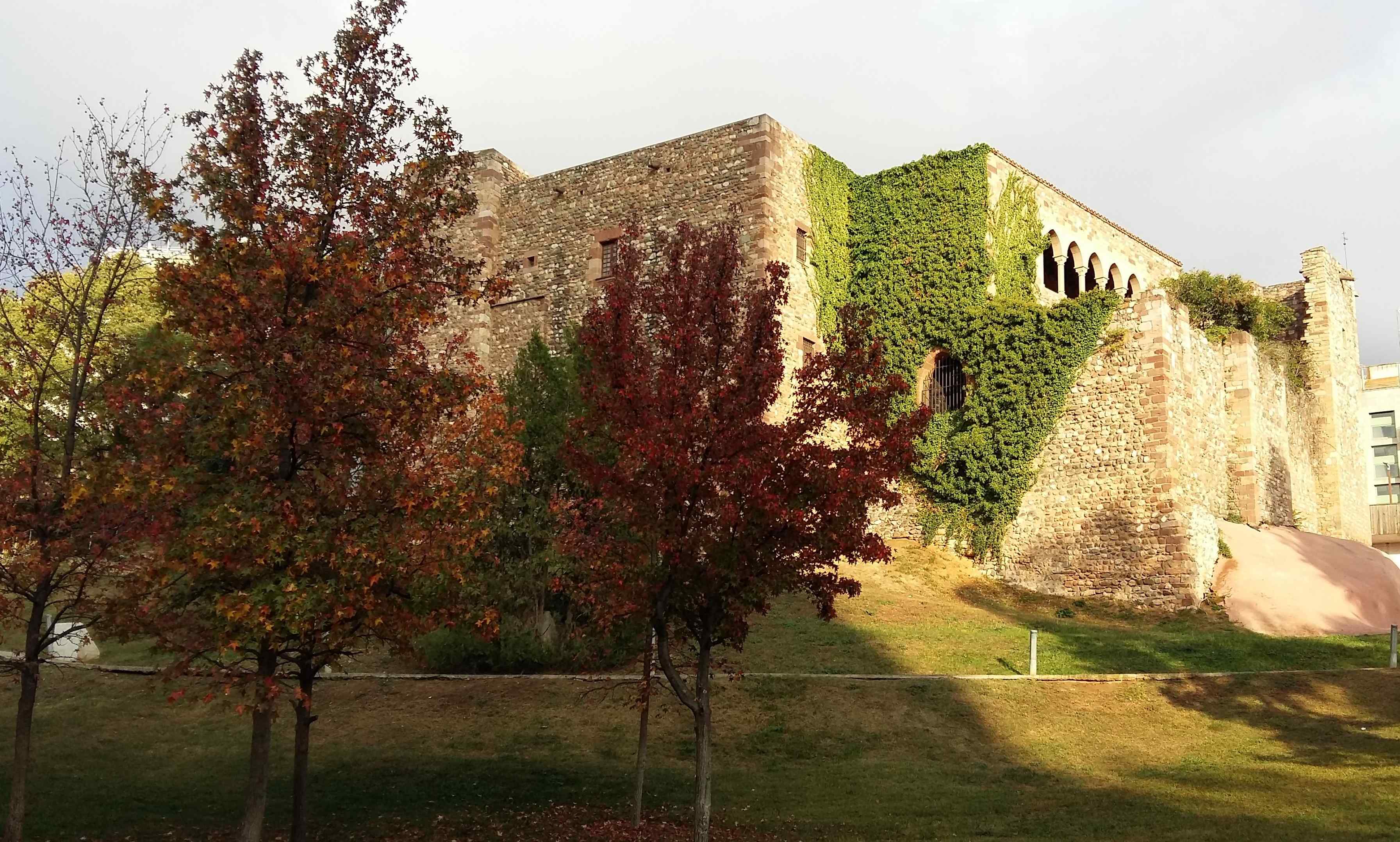 Exterior del Castell Cartoixa de Vallparadís