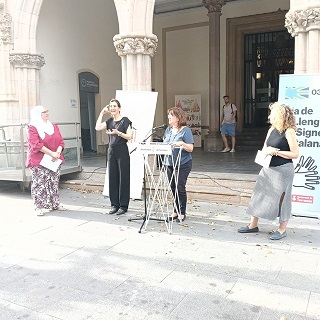 Dia llengua de signes